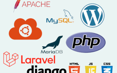 Aplicaciones Web a medida ¿Lo necesito?