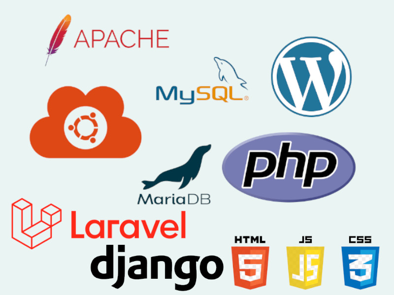 Aplicaciones Web a medida ¿Lo necesito?